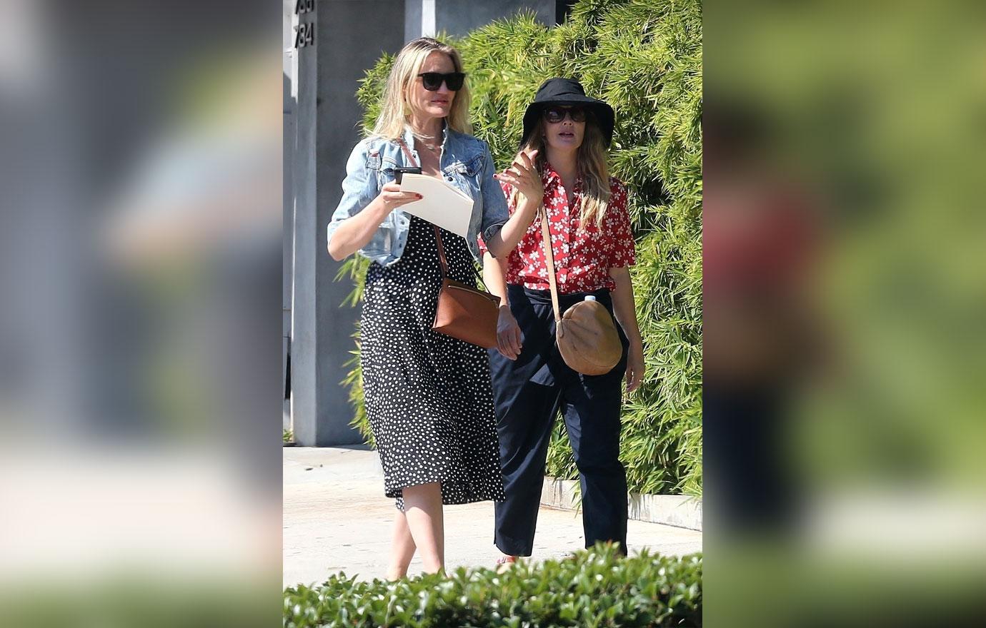 Cameron Diaz and Drew Barrymore Get Together