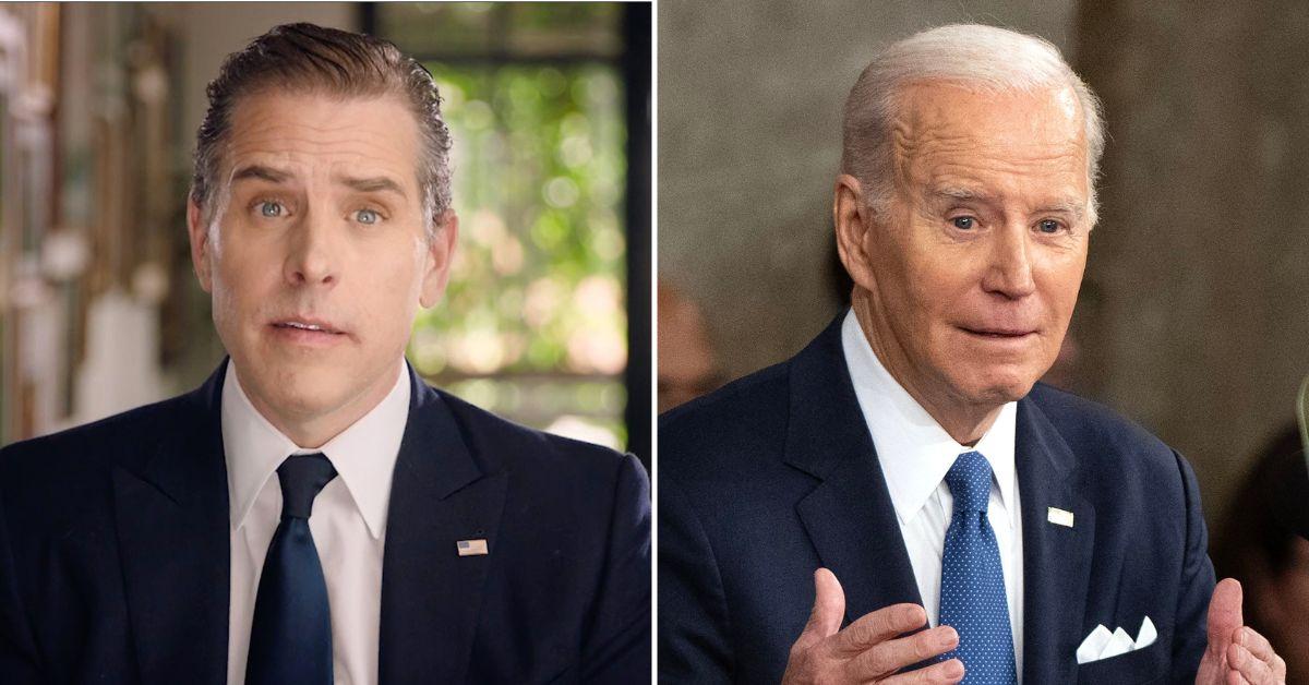 Russian TV Producer Praised Hunter Biden In Bid To Meet Joe Biden