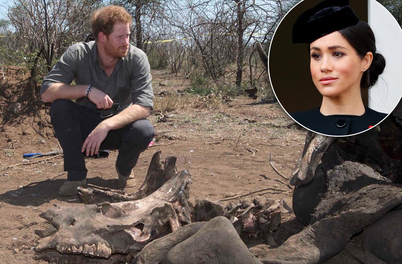 meghan markle bans prince harry christmas hunt