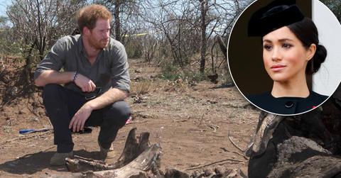 meghan markle bans prince harry christmas hunt