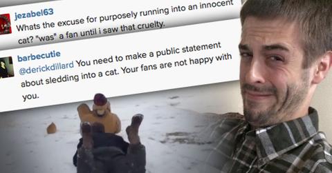 Derick Dillard Instagram Cat