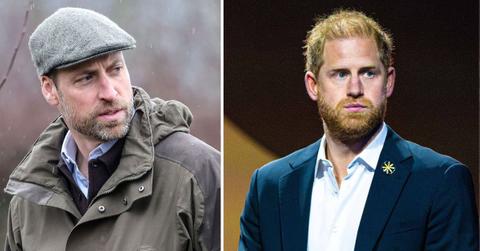 Photo of Prince William and Prince Harry