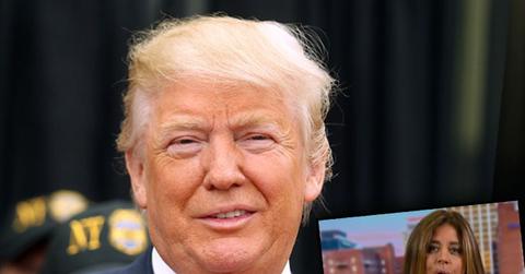 donald trump hit piece new york times lies