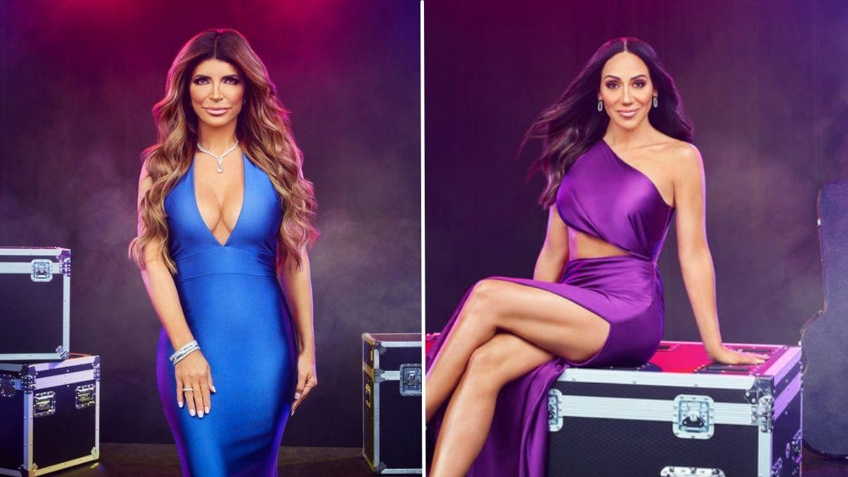 Composite photo of Teresa Giudice and Melissa Gorga