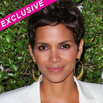 Halle Berry’s Alleged Stalker Identified – Read The Police Booking Report