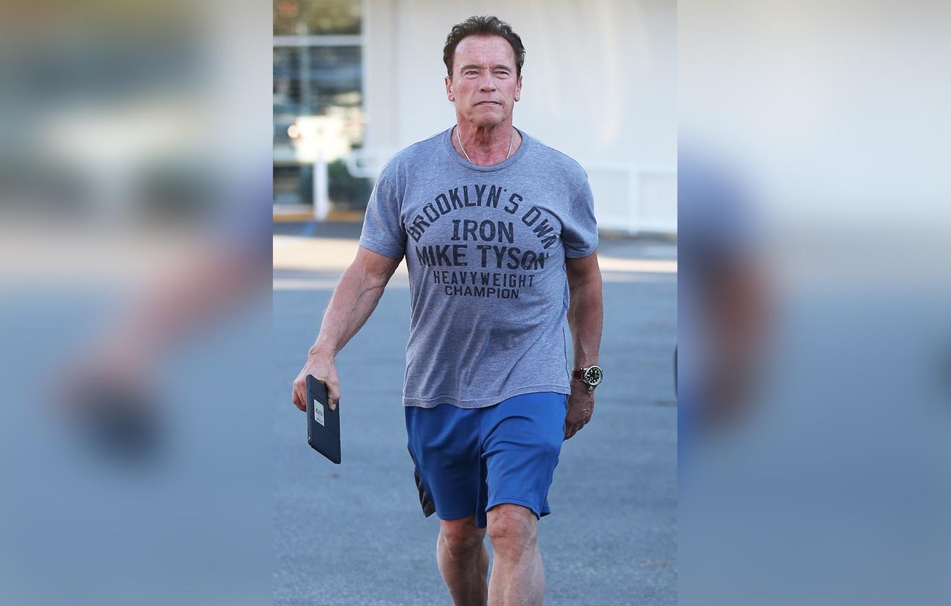 //arnold schwarzenegger baby mama mildred baena boyfriend