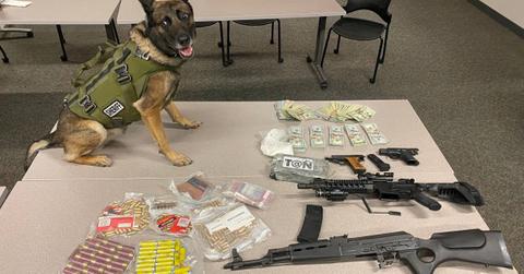 Police Dog Helps Sniff Out Drugs & Money in California Arrest: Police