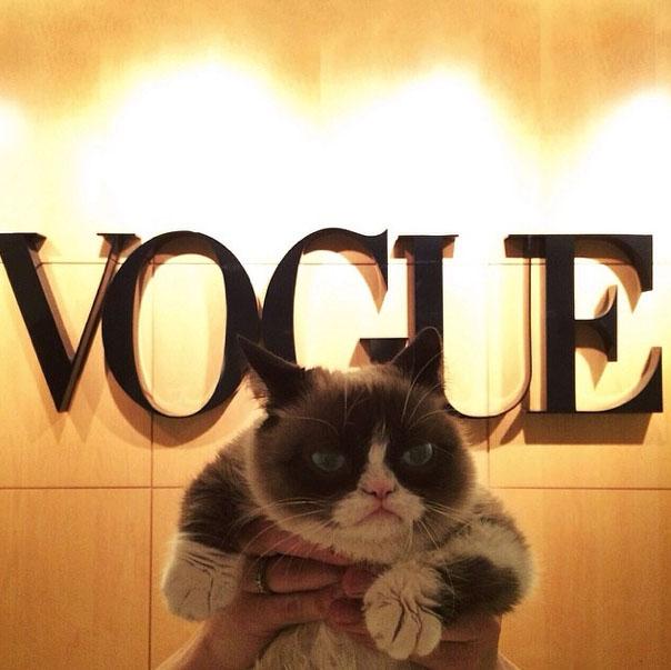 Grumpy Cat Vogue