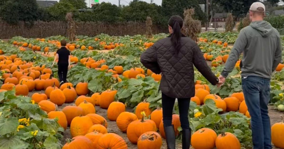 Photo of Prince Harry and Meghan Markle