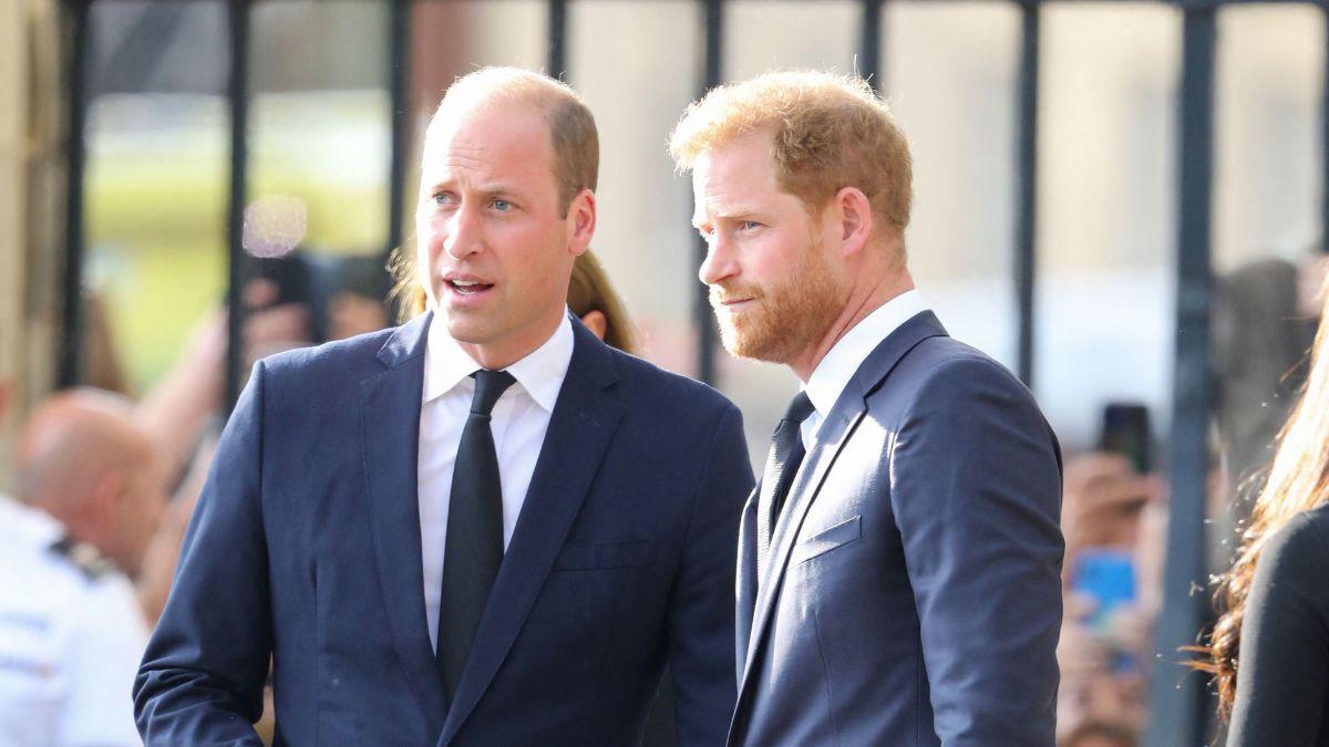 Photo of Prince William and Prince Harry 