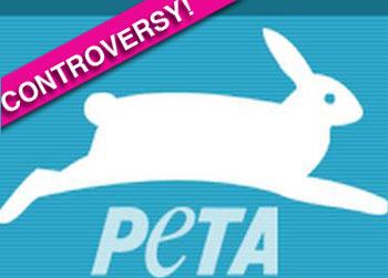 //peta logo