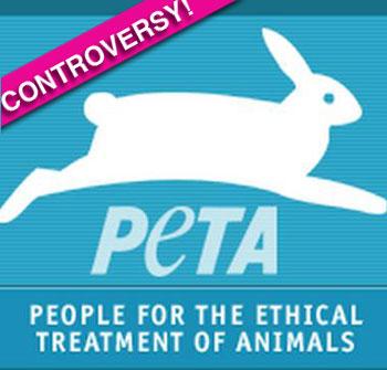 //peta logo