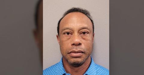 Tiger Woods' rehab nightmare reveals the golf icon is now battling to save his fortune.