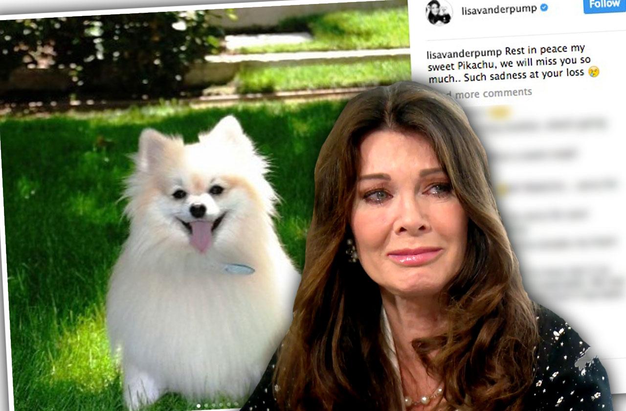 //Lisa Vanderpump Dog Pikachu Dies pp