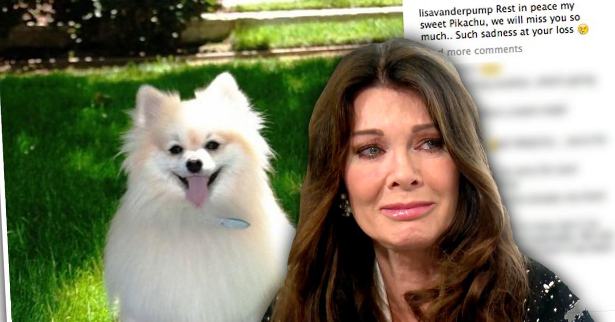 Lisa Vanderpump Reveals 'Heartbreak' Over ‘Suffering’ Dog Pikachu’s