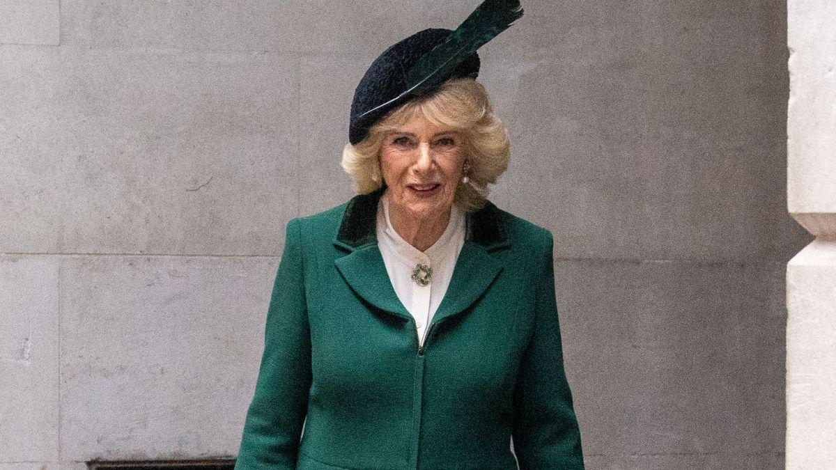 image of A new royal book claimed Queen Camilla once told a friend that Meghan Markle had 'brainwashed' Prince Harry.