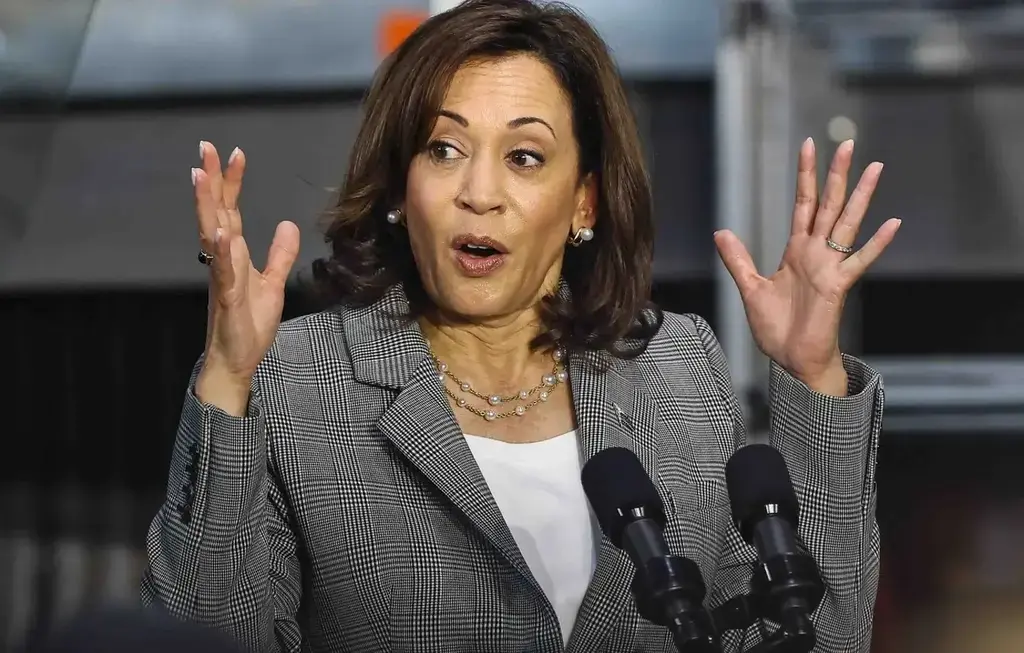 Fox News Host Attacks Kamala Harris For Using A Gas Stove On Thanksgiving