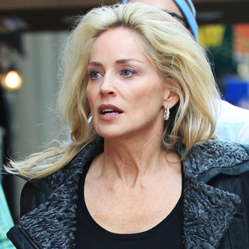 //sharon stone lawsuit splash