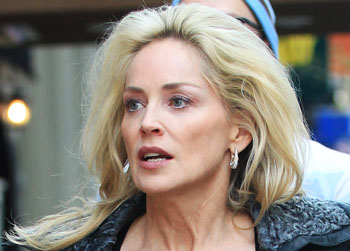 //sharon stone lawsuit splash
