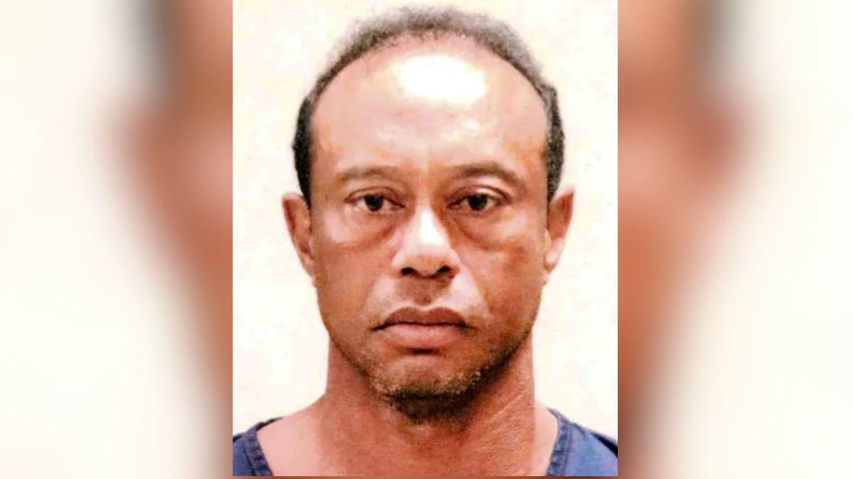 Tiger Woods Mugshot