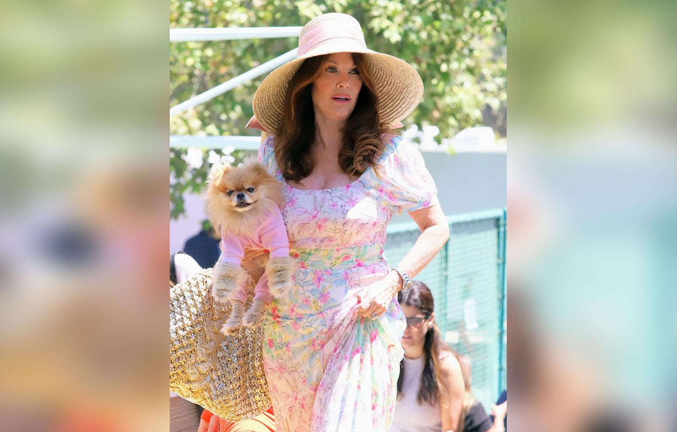 lisa vanderpump cameo  thousand dollars pandemic lockdown donated proceeds dogs r