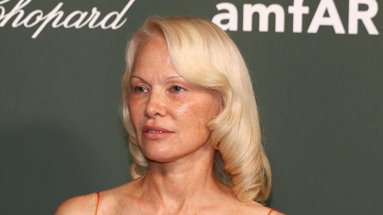 picture of Pamela Anderson 