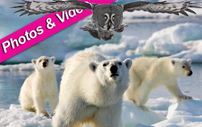 //frozen planet post