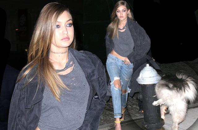 //gigi hadid dog pee accident nyc pp