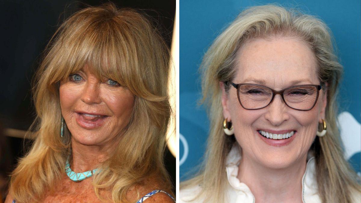 Sources claimed Hawn and Streep's decades-long friendship remains intact despite resurfaced feud remarks.