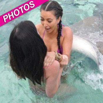 //kim kardashian bora bora sharks