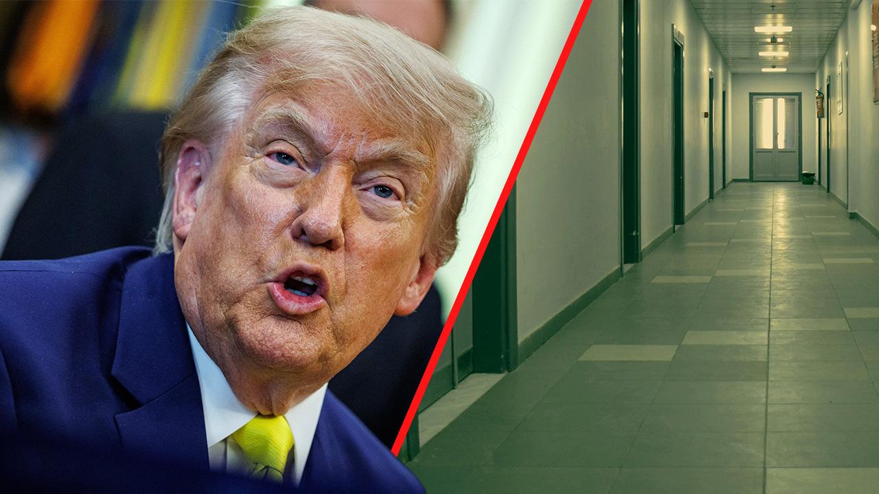 A professional psychiatrist suggested President Trump is in a 'fragile mental state.'