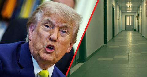 A professional psychiatrist suggested President Trump is in a 'fragile mental state.'