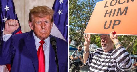 donald trump protestor pp