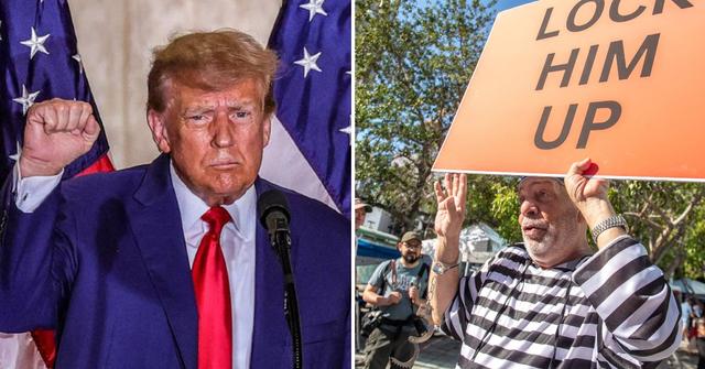 donald trump protestor pp