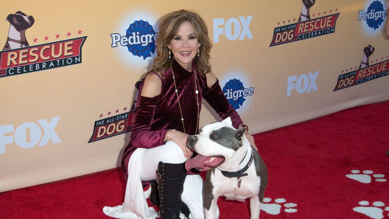Linda Blair's property was raided after authorities found more than 250 dogs despite a permit reportedly allowing 100.