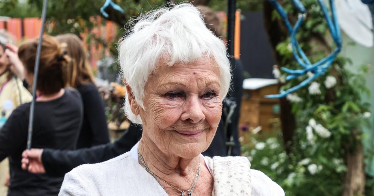 Photo of Dame Judi Dench