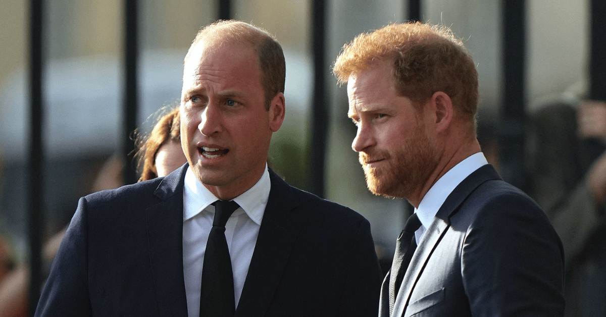 Photo of Prince William and Prince Harry 