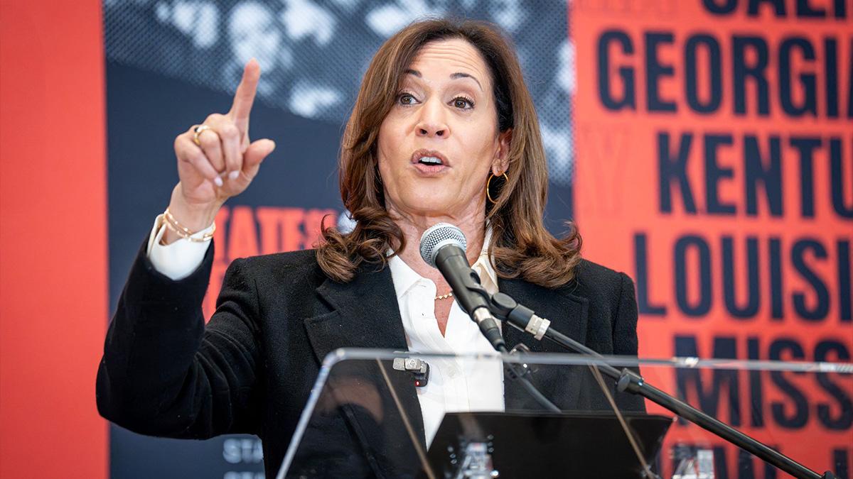 However, many fellow Democrats aren't sold on another Kamala race.