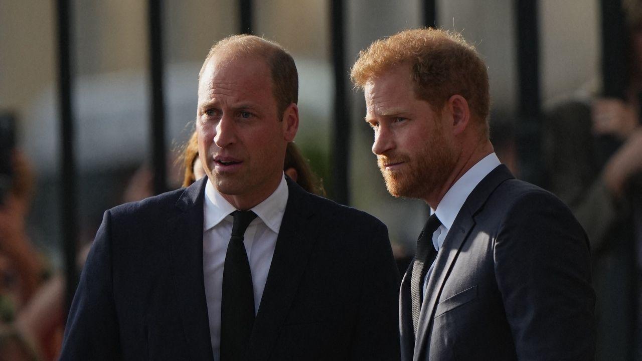 Photo of Princes William and Harry