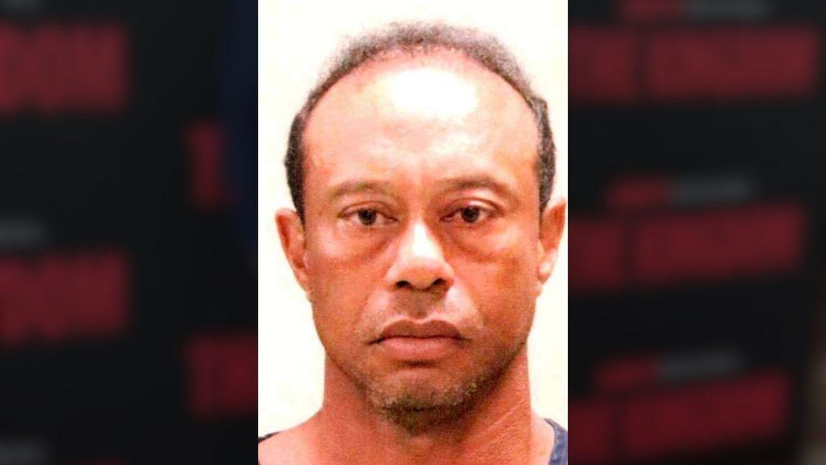picture of tiger woods