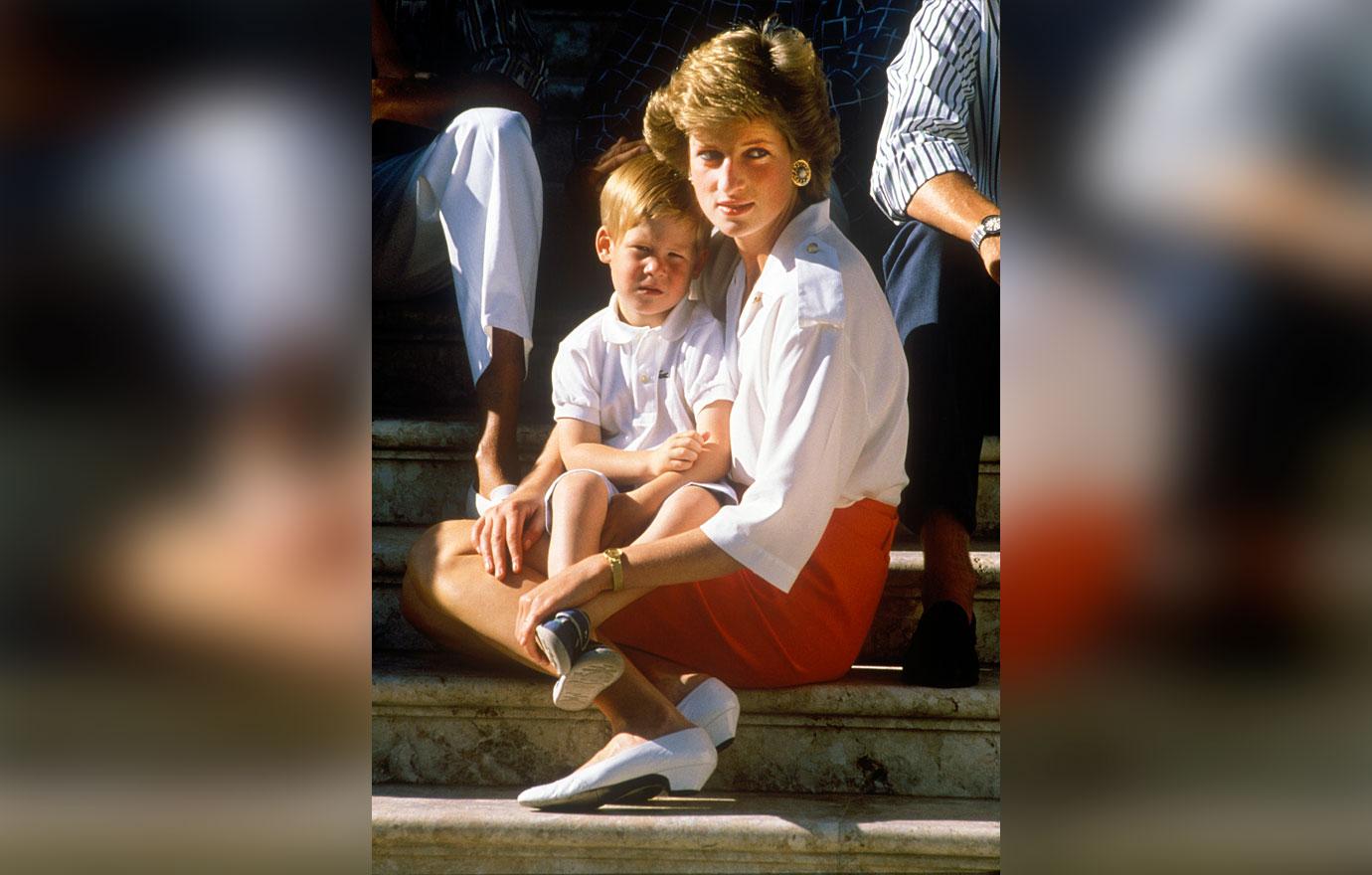 prince harry stripped of royal title administrative error princess diana exhibit r