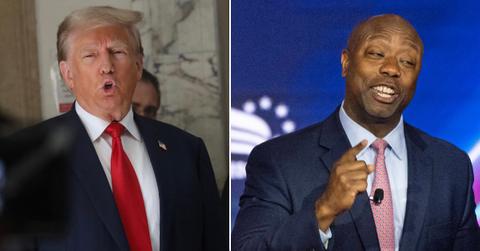 trump kellyanne conway says tim scott checks boxes for vice president pp