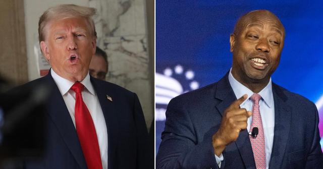 trump kellyanne conway says tim scott checks boxes for vice president pp
