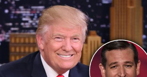 donald trump ted cruz endorsement senator supports billionaire