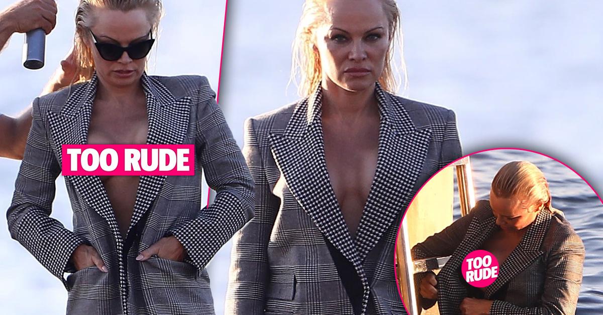 'Baywatch' babe Pamela Anderson's curves are as dangerous as...