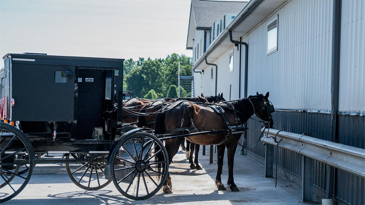 Viewers tried to convince Watters the Amish are real.