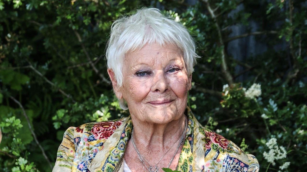 Photo of Dame Judi Dench