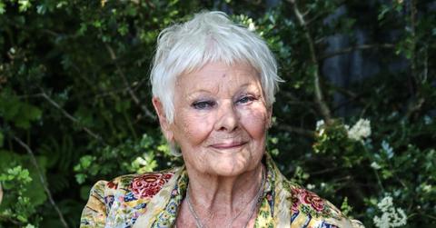 Photo of Dame Judi Dench