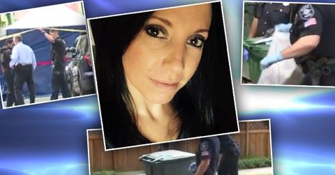 Seattle Mom Murder: Ingrid Lyne Body Parts Found