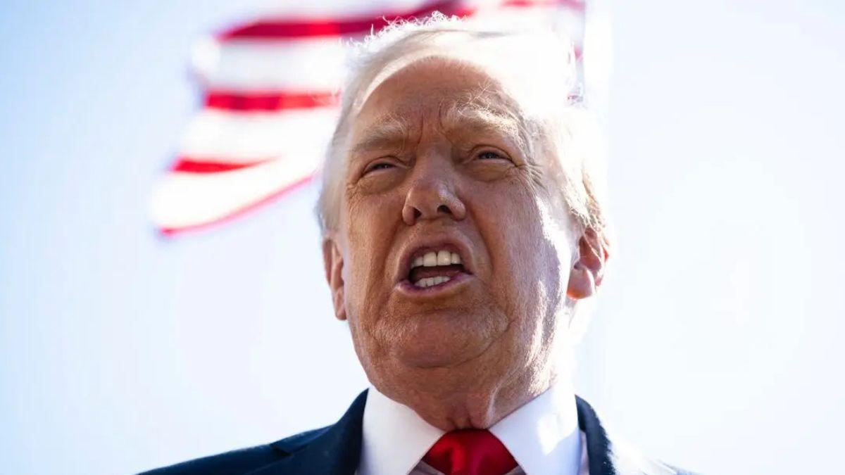 photo of Donald Trump